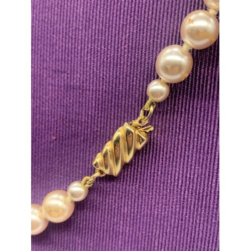 264 - A CASED SET OF PEARLS