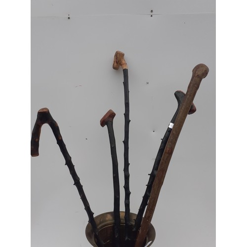 371 - A BRASS STICKSTAND AND CONTENTS (WALKING STICKS)