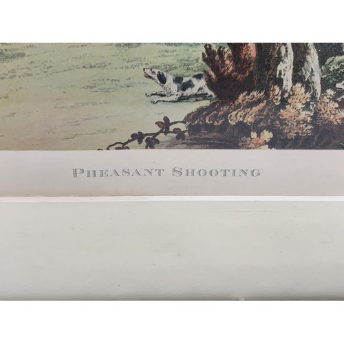 439 - A PHEASANT SHOOTING PRINT