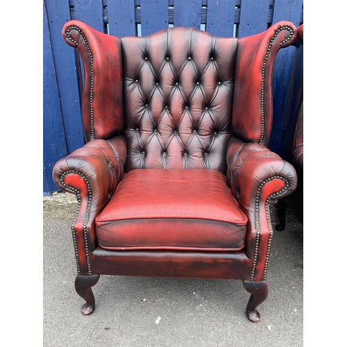 703 - A MATCHING PAIR OF OXBLOOD WINGBACK ARMCHAIRS QUEEN ANNE LEG