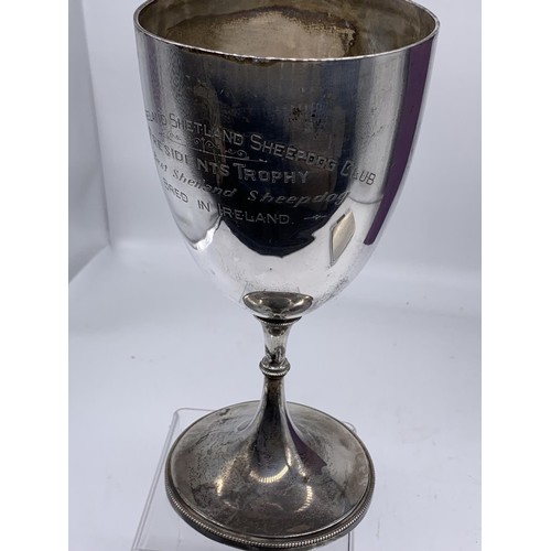 683A - A LARGE SOLID SILVER CUP FOR THE BEST SHETLAND SHEEPDOG BRED IN IRELAND 1955-78 (316grms)