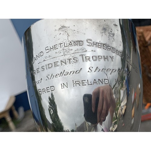 683A - A LARGE SOLID SILVER CUP FOR THE BEST SHETLAND SHEEPDOG BRED IN IRELAND 1955-78 (316grms)