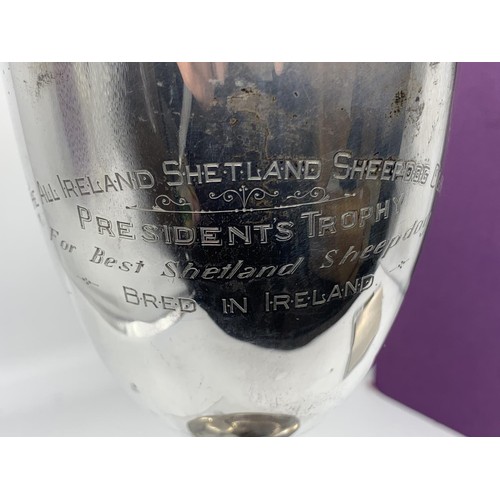 683A - A LARGE SOLID SILVER CUP FOR THE BEST SHETLAND SHEEPDOG BRED IN IRELAND 1955-78 (316grms)