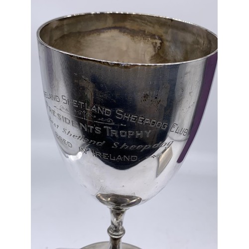 683A - A LARGE SOLID SILVER CUP FOR THE BEST SHETLAND SHEEPDOG BRED IN IRELAND 1955-78 (316grms)