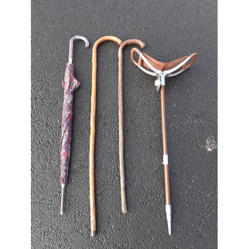 170 - SHOOTING STICK/2 WALKING STICKS/UMBRELLA