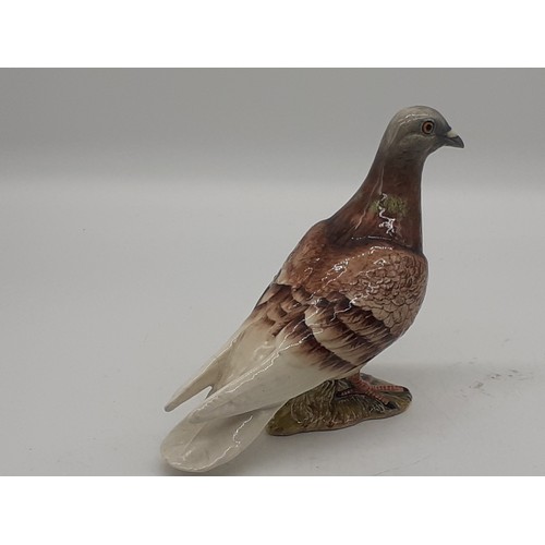 237 - A BESWICK PIGEON 1st VERSION 1955-72 THREE STRIPES ON WING 6