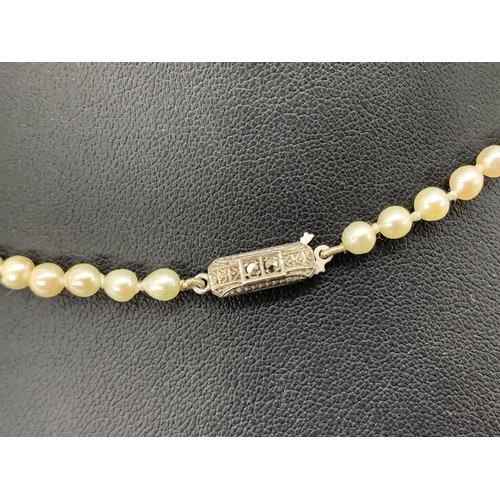 285 - A REAL PEARL NECKLACE WITH SILVER CLASP