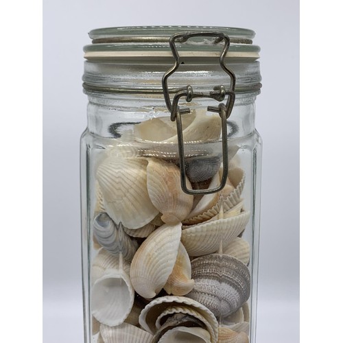 484 - PASTA CONTAINER FILLED WITH SHELLS