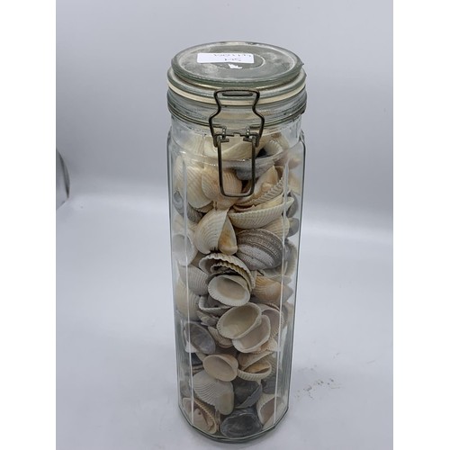 484 - PASTA CONTAINER FILLED WITH SHELLS