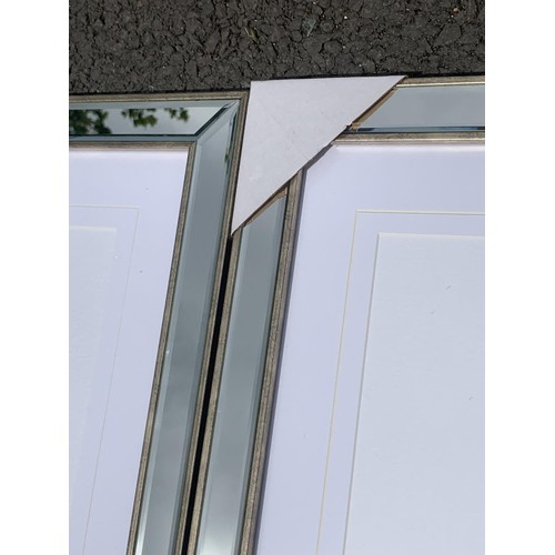 185 - A PAIR OF NEW  MIRRORED FRAMED GILTED PLANT PICUTRES MEASURES EACH 26 x 22