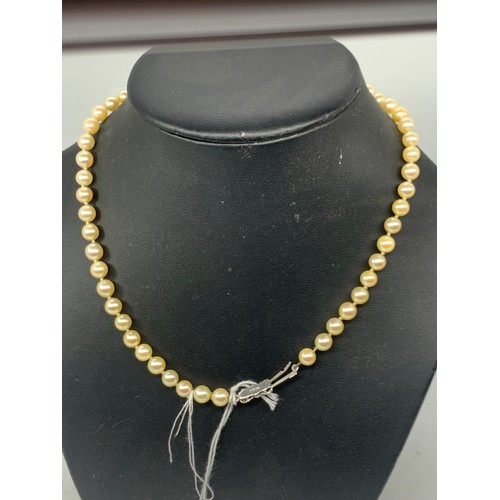 731 - A PEARL NECKLACE WITH A SILVER CLASP