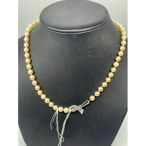 731 - A PEARL NECKLACE WITH A SILVER CLASP