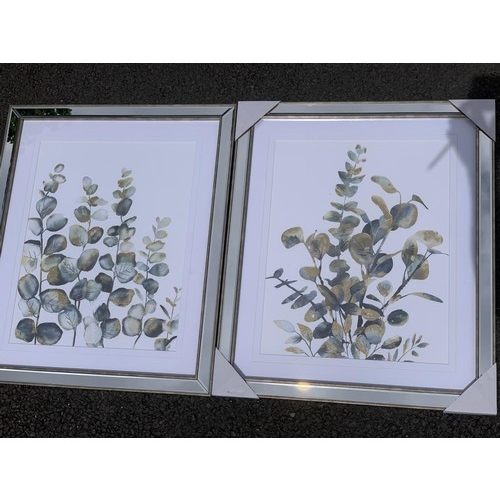 185 - A PAIR OF NEW  MIRRORED FRAMED GILTED PLANT PICUTRES MEASURES EACH 26 x 22