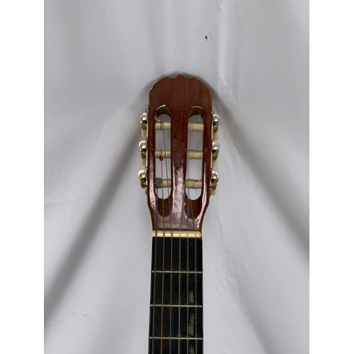 267 - HOHNER GUITAR WITH A CASE