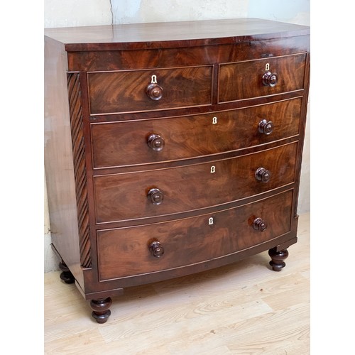 446 - A VICTORIAN BOW FRONTED FLAME MAHOGANY CHEST OF DRAWERS 41X44X18