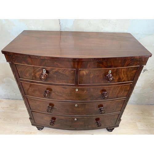 446 - A VICTORIAN BOW FRONTED FLAME MAHOGANY CHEST OF DRAWERS 41X44X18