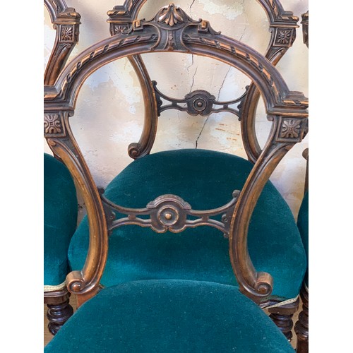 208a - A SET OF 6 ORNATELY CARVED AND RECENTLY RECOVERED BALLOON BACK CHAIRS