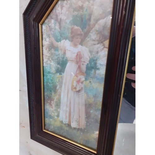 404 - SHAPED PICTURE PANEL MIRROR 34 x 22