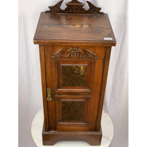 345 - A LATE VICTORIAN POT CUPBOARD