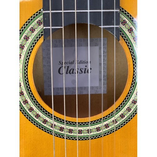 110 - AN ACOUSTIC GUITAR