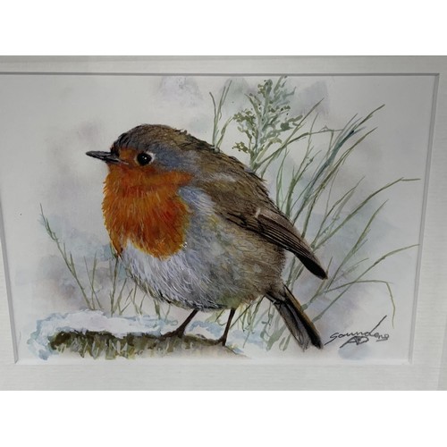 142 - WINTER ROBIN A WATERCOLOUR BY ANDY SAUNDERS 12X14