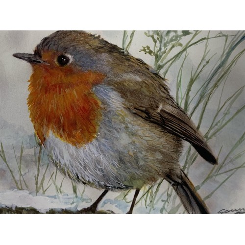 142 - WINTER ROBIN A WATERCOLOUR BY ANDY SAUNDERS 12X14