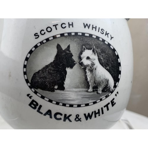 362 - SHELLEY BLACK AND WHITE WHISKEY JUG (NIBBLE TO SPOUT) 4