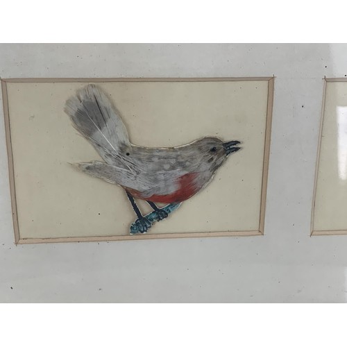 519 - AN ANTIQUE  FRAMED SET OF 4 BIRDS ALL MADE IN FEATHERS