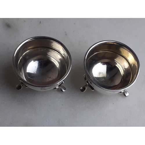 315 - A PAIR OF SILVER SALTS