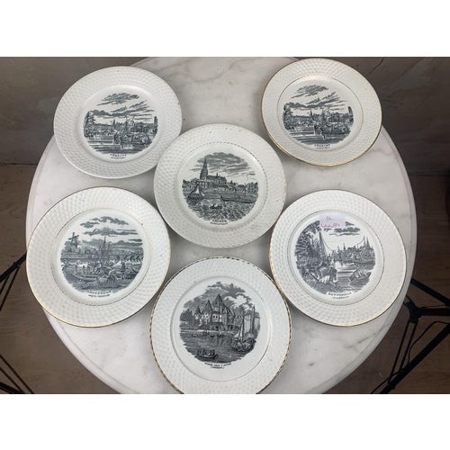 85 - A SET OF 6 P. REGOUT & CO MASTRICHT PLATES (C1870) NEDESLAND