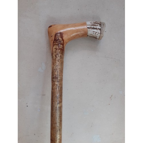 272 - A HAZEL 2 PIECE WALKING STICK WITH BONE HANDLE