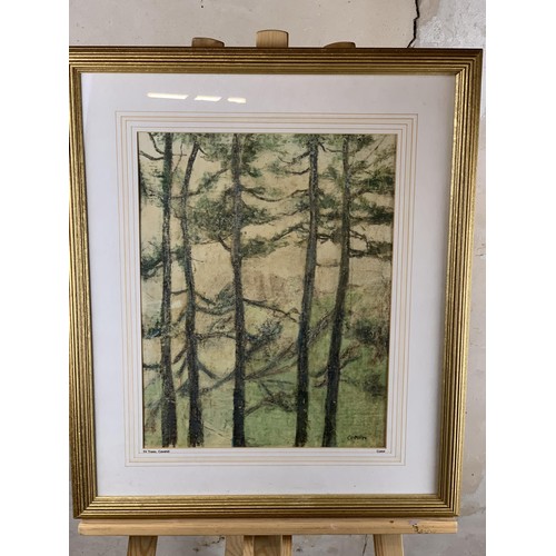 485 - FIR TREES WITH CAVEHILL IN BACKGROUND A SIGNED WILLIAM CONNOR PAINTING 25 X 21