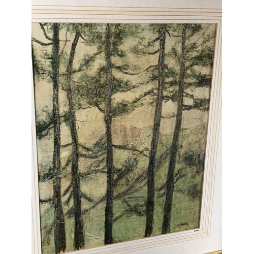 485 - FIR TREES WITH CAVEHILL IN BACKGROUND A SIGNED WILLIAM CONNOR PAINTING 25 X 21