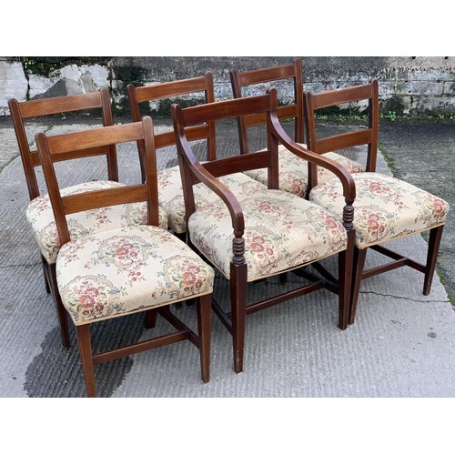 154 - A SET OF 5 GEORGIAN SHERIDAN CHAIRS & 1 MATCHING CARVIER CHAIR