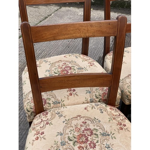 154 - A SET OF 5 GEORGIAN SHERIDAN CHAIRS & 1 MATCHING CARVIER CHAIR