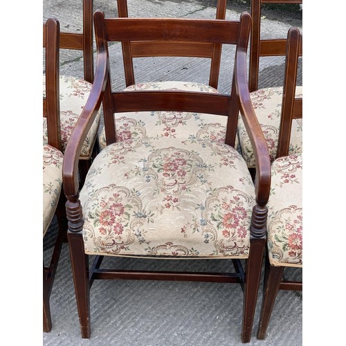 154 - A SET OF 5 GEORGIAN SHERIDAN CHAIRS & 1 MATCHING CARVIER CHAIR