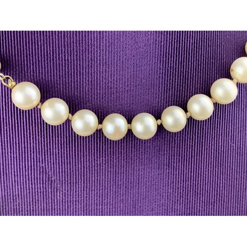 259 - A PEARL NECKLACE