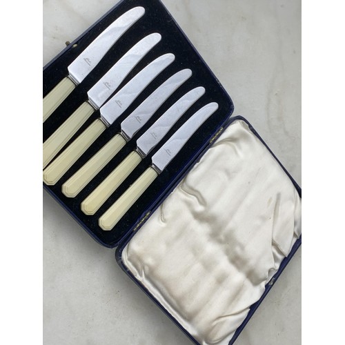 432 - A SET OF 6 BONE ANTIQUE BONE HANDLE KNIVES IN A FITTED BOX