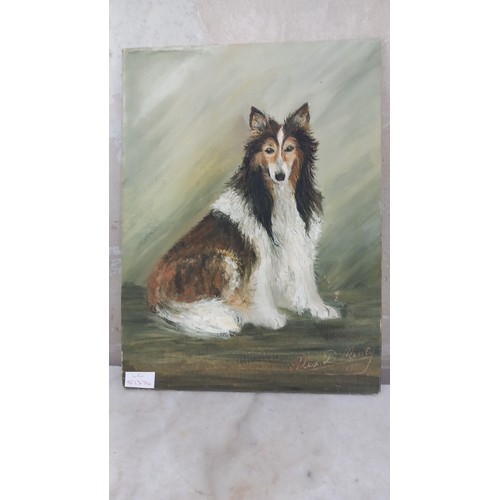 55 - AN OIL ON PANEL OF A COLLIE DOG 16X12