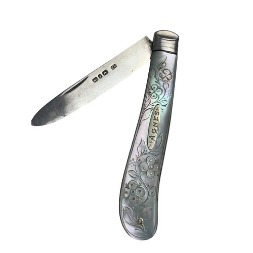 306 - ORNATE MOTHER OF PEARL HANDLED SILVER BLADED PEN KNIFE