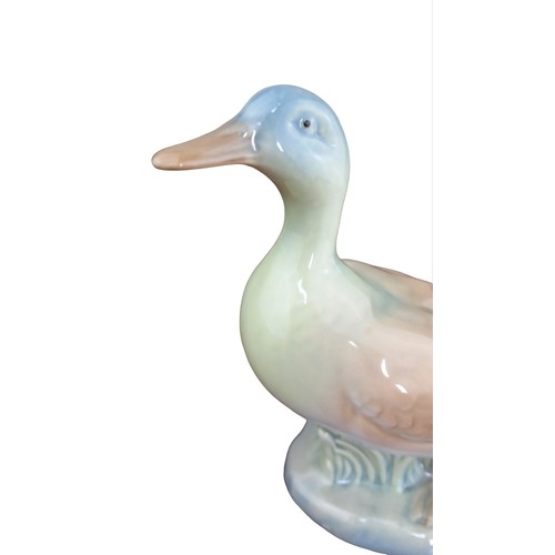 4 - M.REQUENA SPANISH DUCK