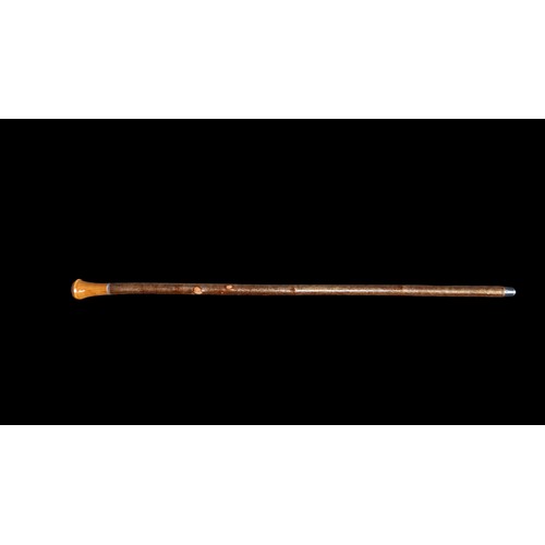 120A - HAZEL WALKING CANE WITH BLACKTHORN TURNED HANDLE