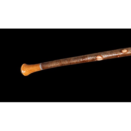 120A - HAZEL WALKING CANE WITH BLACKTHORN TURNED HANDLE