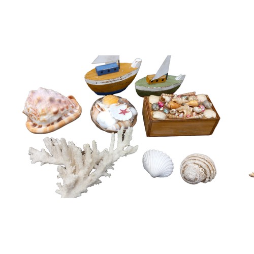 80 - AN ASSORTED LOT OF SHELLS AND CORAL