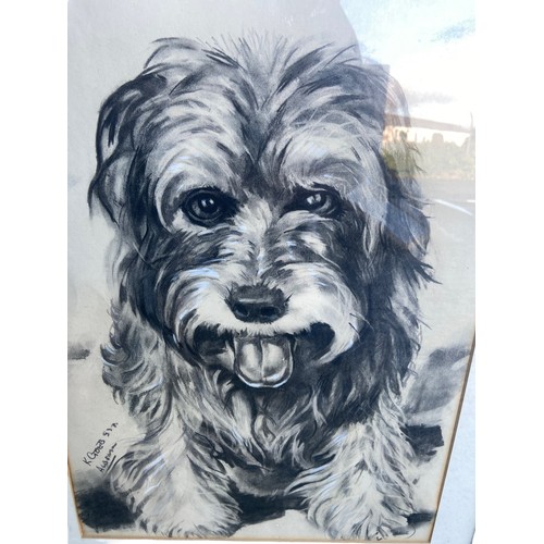 22 - A SIGNED CHARCOAL DRAWING  OF A DOG 20X25.5