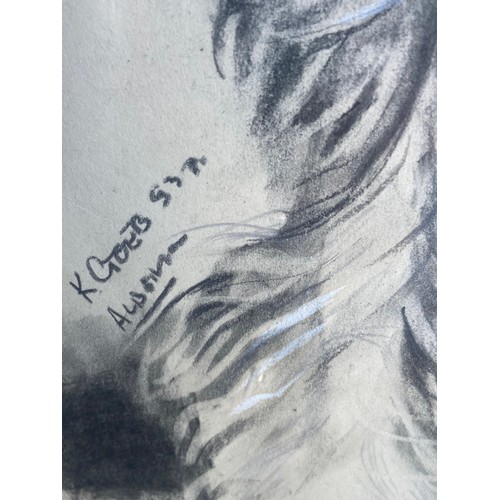 22 - A SIGNED CHARCOAL DRAWING  OF A DOG 20X25.5