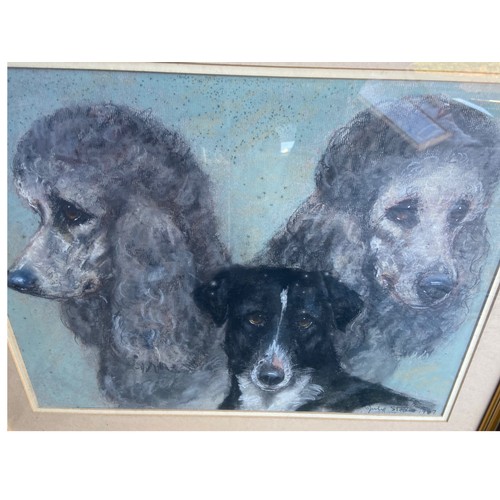 83 - A SIGNED PASTAL DRAWING OF DOGS BY JULIE STOOLS 19.5X23.5