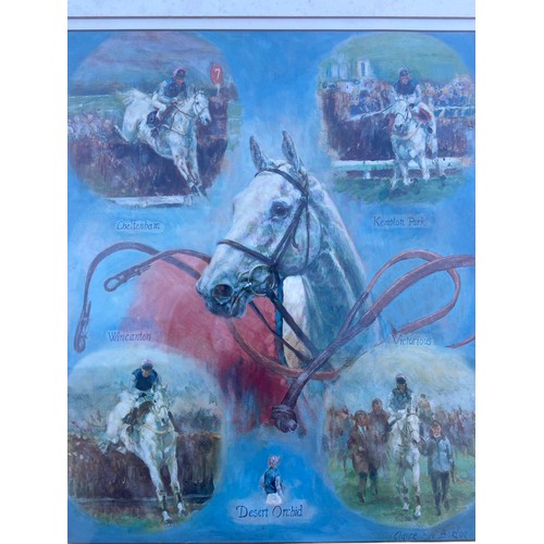 177 - A SIGNED CHELSEA GREEN EDITIONS DESERT ORCHID PRINT 28.5X25.5