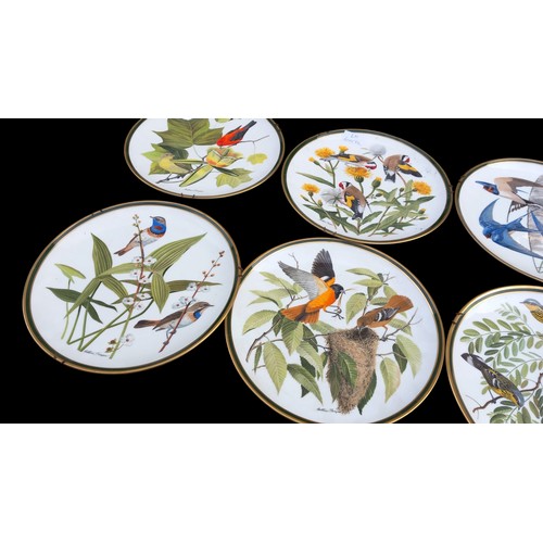 395 - 9 FRANKLIN PORCELINE PLATES OF SONG BIRDS OF THE WORLD 10.5