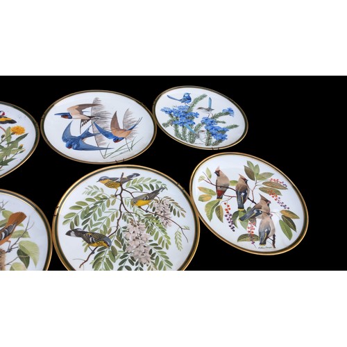 395 - 9 FRANKLIN PORCELINE PLATES OF SONG BIRDS OF THE WORLD 10.5